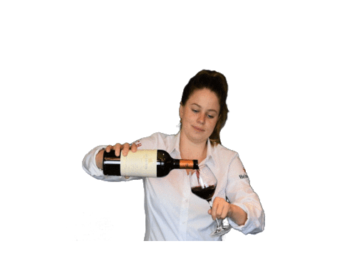 Horeca Harderwijk Sticker by DeBoterlap