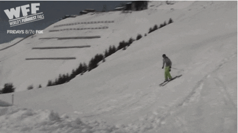 GIF by World’s Funniest