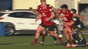 Crusaders GIF by Rugbydump