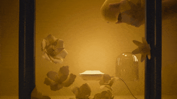 OSUGA night light goodnight good night GIF