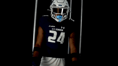 Old Dominion Sport GIF by ODU Football