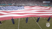 American Flag Football GIF by NFL
