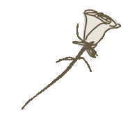 Rose バラ Sticker