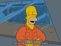 homer simpson GIF