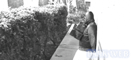 Black And White Dwx GIF by Dark Web