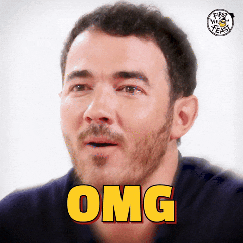 Jonas Brothers Omg GIF by First We Feast