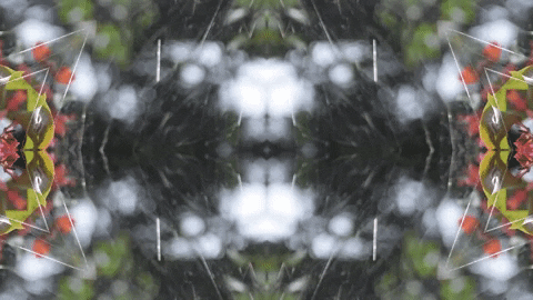 Art Love GIF by jorgemariozuleta