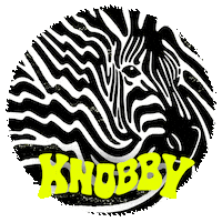 Art Zebra Sticker by Knobby