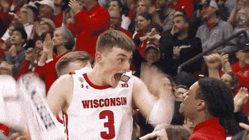 Happy Lets Go GIF by Wisconsin Badgers