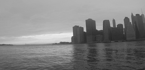 nyc weather GIF by Evan Hilton