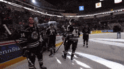 Happy Sport GIF by Hershey Bears