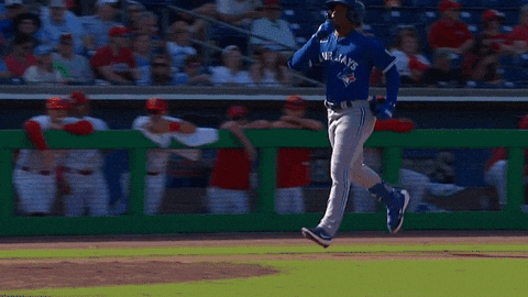 Blue Jays Good Job GIF by Toronto Blue Jays
