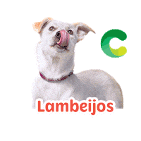 Covabra Petestar Pet Sticker by Covabra Supermercados