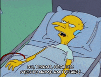 Season 2 Episode 22 GIF by The Simpsons