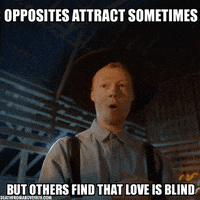 virgins meme GIF by Death From Above 1979