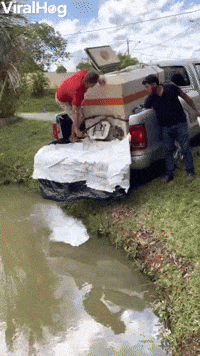 Man Slips and Falls While Stocking Pond With Fish