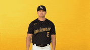 Cal State La Sport GIF by Cal State LA Golden Eagles