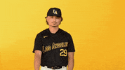 Cal State La Sport GIF by Cal State LA Golden Eagles