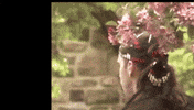 GIF by Jerry Tremblay