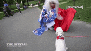 thespecialwithout puppy barking thespecialwithout the special GIF
