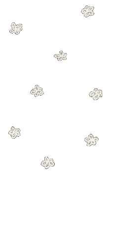 Flower 花 Sticker