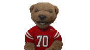 cornell university touchdown Sticker