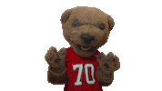 cornell university touchdown Sticker