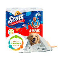Scott Sticker by Kimberly-Clark