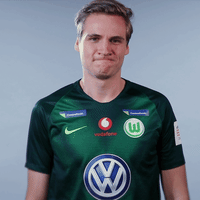 fifa 18 football GIF by VfL Wolfsburg