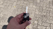 Driving Lets Go GIF by Namaste Car