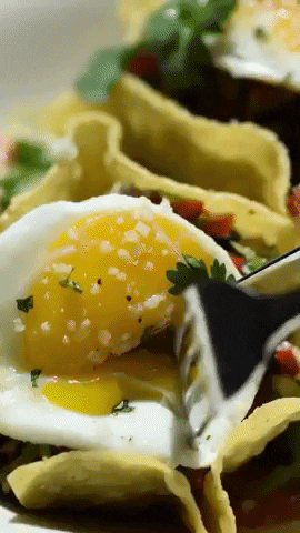 Egg Yolk Food GIF by DAM