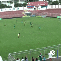 Football Wow GIF by ELEVEN SPORTS
