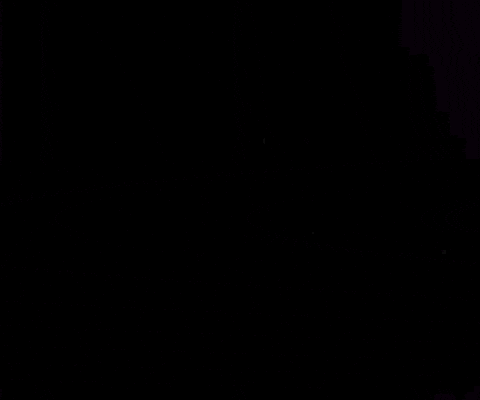 The Animated Series GIF by Star Trek