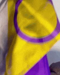 Proud Cat GIF