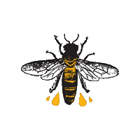 TheCaliforniaHoneyDrops californiahoneydrops thecaliforniahoneydrops thehoneydrops Sticker
