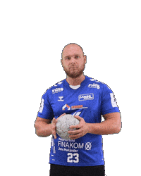 Handball Sticker by HSGSpradow