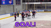 Runstedseiercapital goal mal mayday ishockey GIF