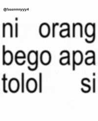 Brat Apa GIF