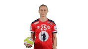 Team Esbjerg Handball Sticker by EHF