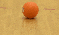 throw dodgeball GIF by DC Fray