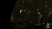 tv show GIF by Vikings on HISTORY