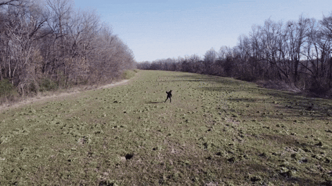 Feeling Small Out Of This World GIF by Better Noise Music