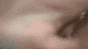 Iwutitans Tgoe GIF by iwusports