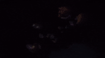Squid Sisters Off The Hook GIF