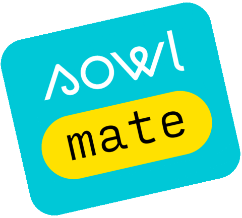 Sowl Sticker by ritualsowl