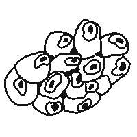 Marine Life Loop Sticker by Gifes Con Ensalada