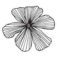 Flower Drawing Sticker by Jinny Ngui Design