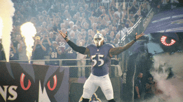 Happy National Football League GIF by Baltimore Ravens