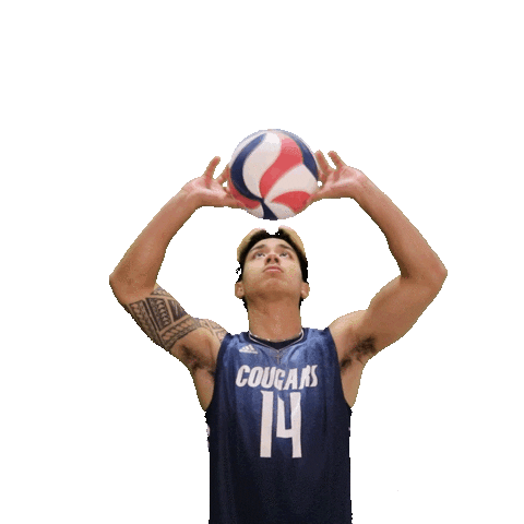 MVNUMVB setting setter mens volleyball mvnu Sticker