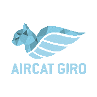 Piloto Aire Sticker by VirtualFly